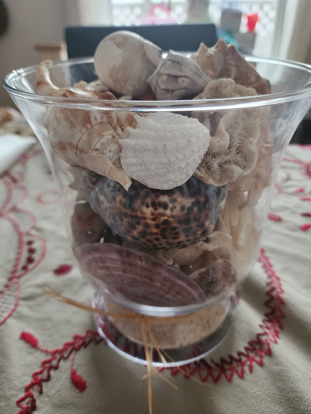 Seashell Collection In Hurricane Glass Vase Coastal Decor Large Shells 🐚 🐚 🐚